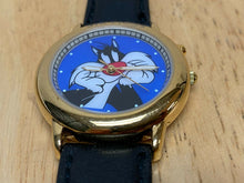 Load image into Gallery viewer, Six Flags Looney Tunes Characters Luminous Analog Quartz Watch Hours~New Battery