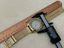 Load image into Gallery viewer, Techno Pave Mens Gold Tone Mesh Band Bling Analog Quartz Watch Hours~New Battery