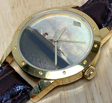 Load image into Gallery viewer, Disney Cruise Line Mens Gold Tone Leather Analog Quartz Watch Hours~New Battery
