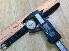 Load image into Gallery viewer, Vintage Carlton Mens 17 Jewels Silver Hand-Wind Mechanical Watch Hours~Runs Fast
